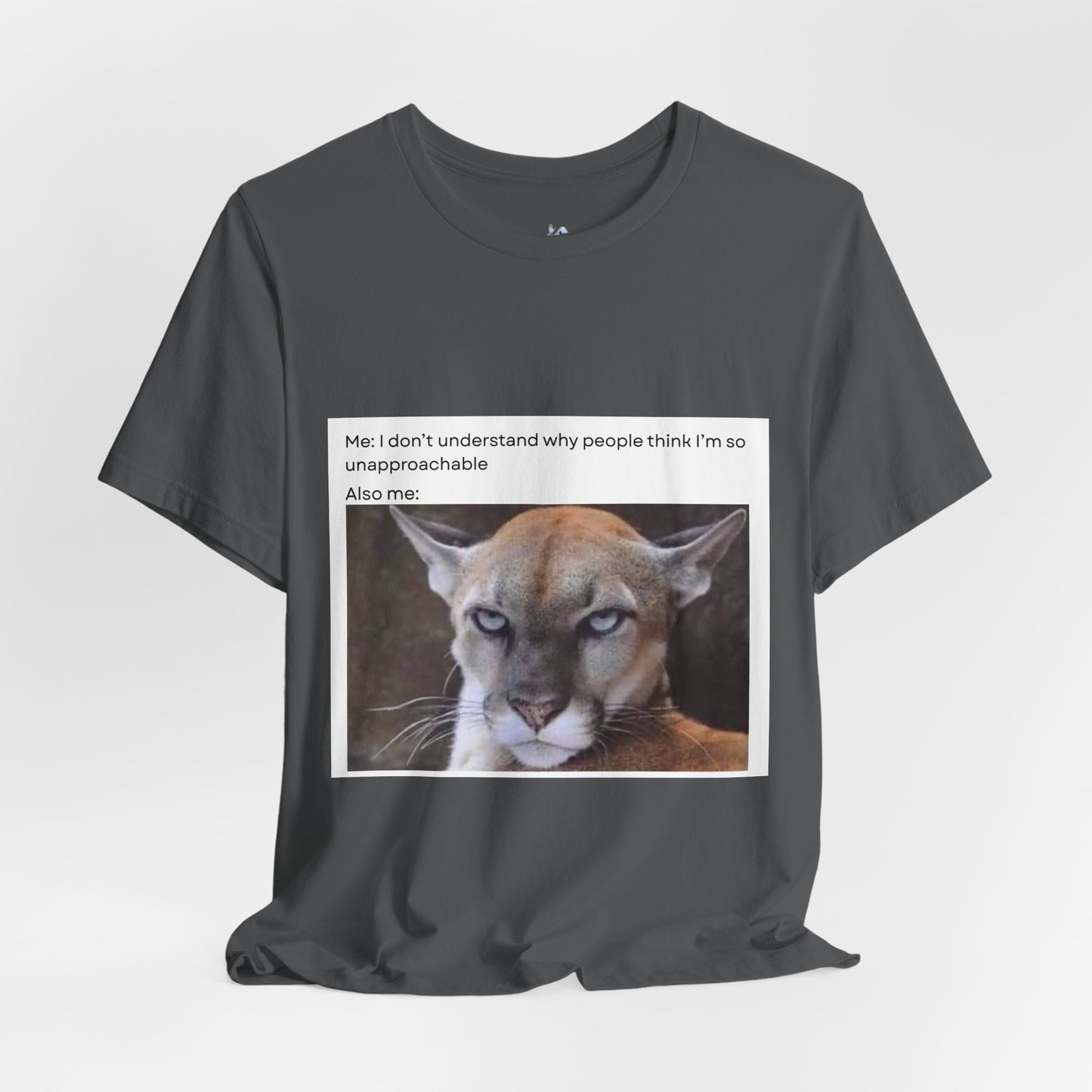 Funny Meme Cat Tee - 'Unapproachable'