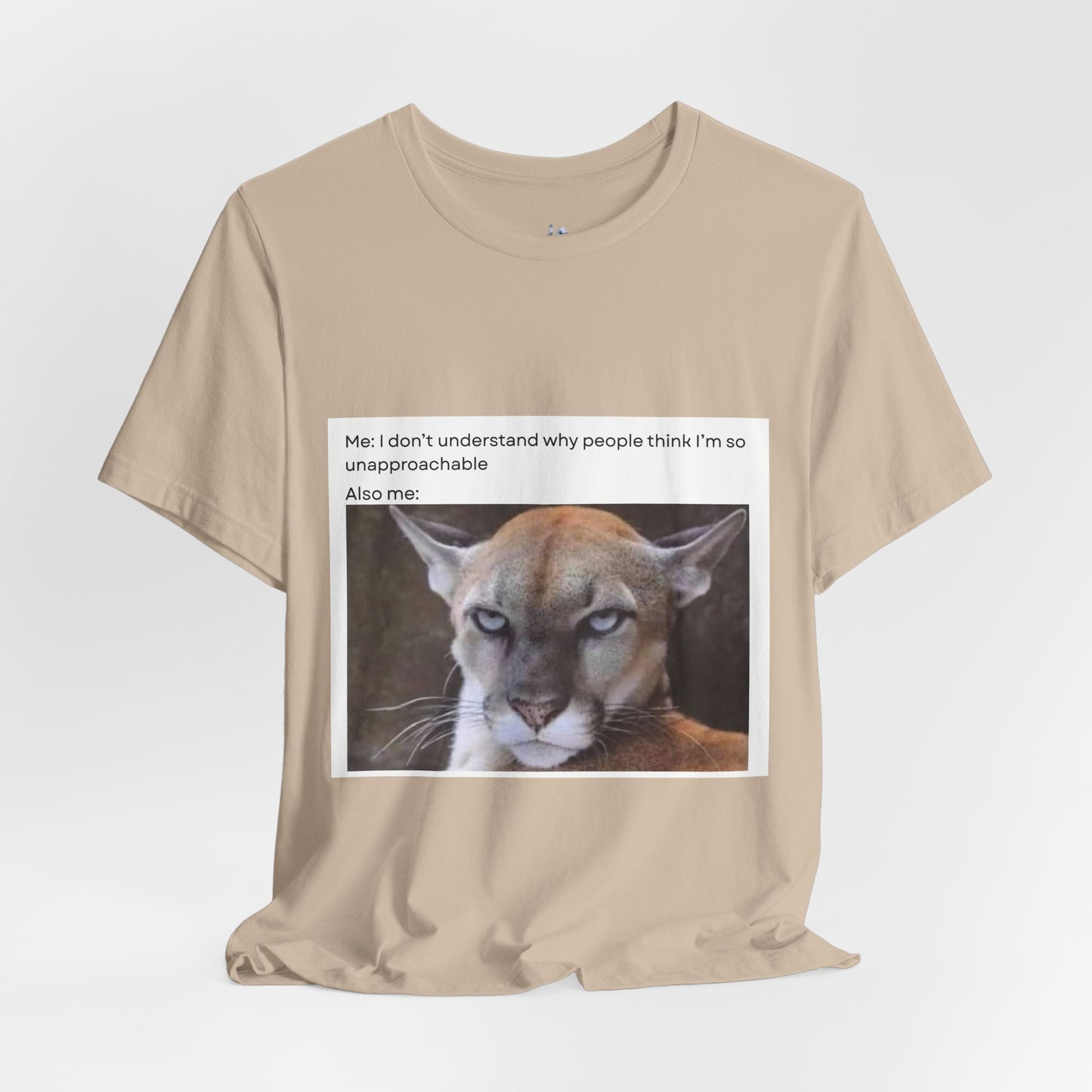 Funny Meme Cat Tee - 'Unapproachable'