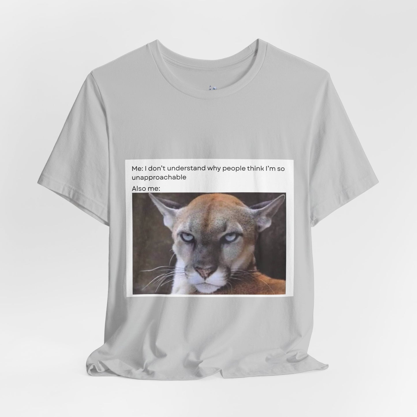 Funny Meme Cat Tee - 'Unapproachable'