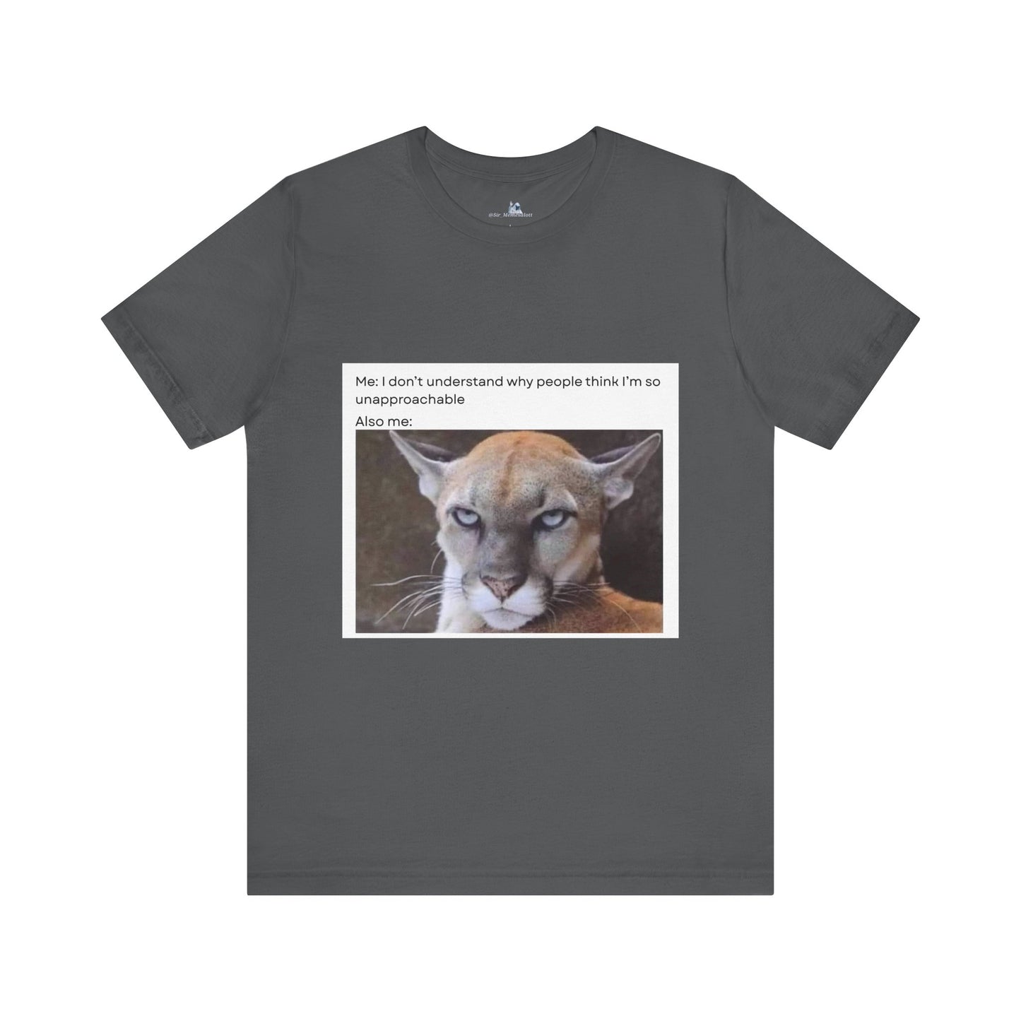 Funny Meme Cat Tee - 'Unapproachable'