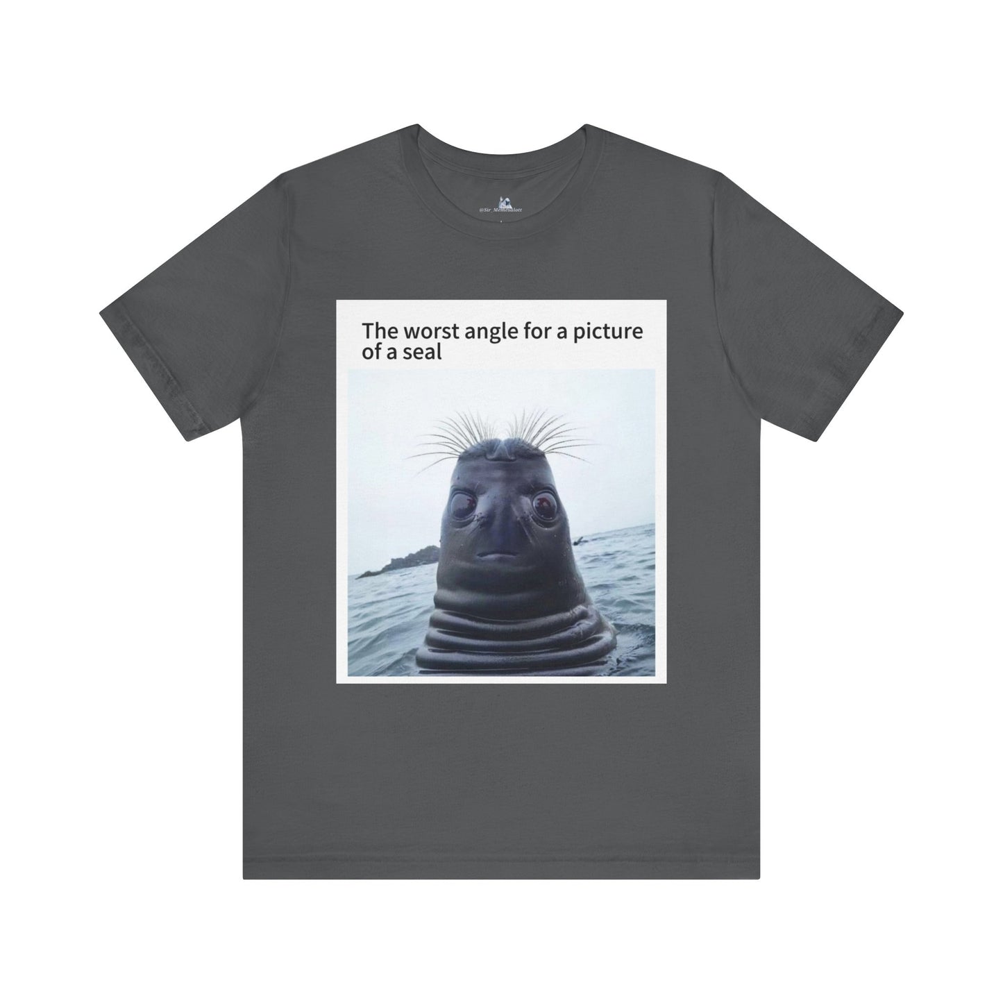 Funny Seal Photo Unisex Tee - "The Worst Angle for a Picture of a Seal"